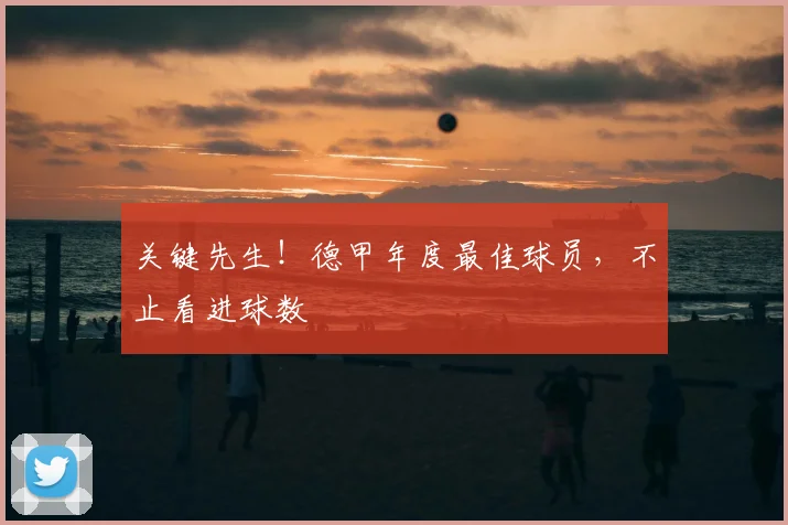 关键先生!德甲年度最佳球员,不止看进球数